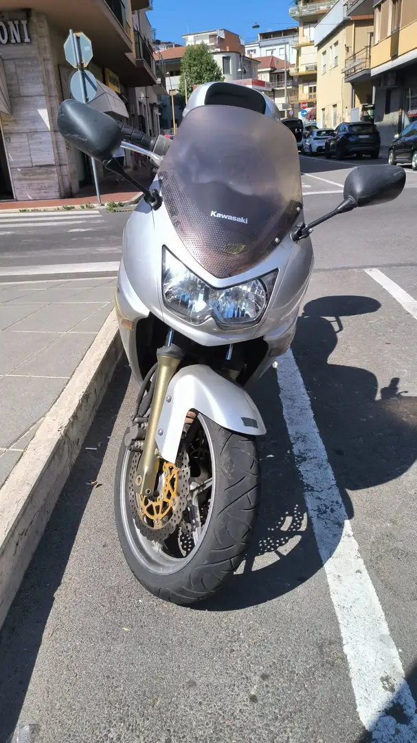 Kawasaki ER - 6 F Grau - 2