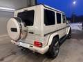 Mercedes-Benz G 63 AMG G 63 AMG Desingo|ACC|SHZ|H&K|AHK|8-Fach|22Zoll Blanc - thumbnail 3