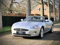Jaguar XK 4.2 V8 Convertible / YOUNGTIMER / FULL SERVICE FIL Grau - thumbnail 8