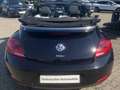Volkswagen Maggiolino Maggiolino Cabrio 1.2 TSI Design BlueMotion Techn Noir - thumbnail 2