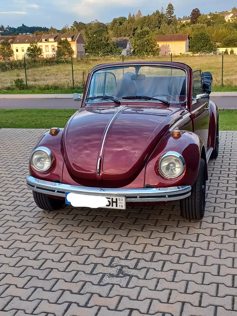 Volkswagen Käfer Cabrio Roşu - 1