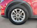 Ford Kuga 1.5 EcoBoost Titanium / Aut./ 4 Jahre FGS Rojo - thumbnail 9