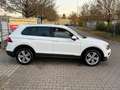 Volkswagen Tiguan 2.0TDI HIGHLINE BMT. 4MOTION*NAVI*DSG*AHK Blanc - thumbnail 5