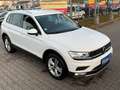 Volkswagen Tiguan 2.0TDI HIGHLINE BMT. 4MOTION*NAVI*DSG*AHK Blanc - thumbnail 6