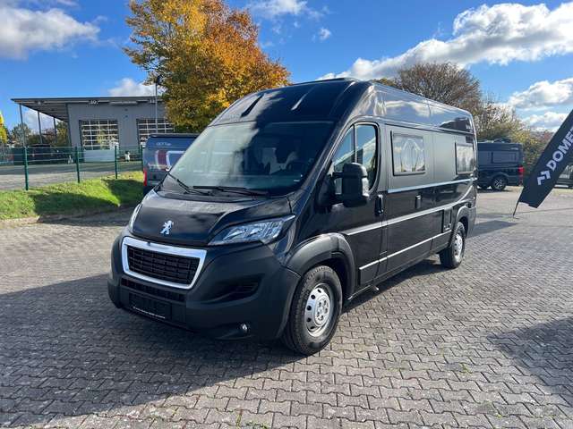 Imagine Bravia Swan 599