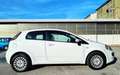 Fiat Punto Evo 3p 1.4 Gpl 77cv *Ok Neopatentati* Wit - thumbnail 3