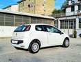 Fiat Punto Evo 3p 1.4 Gpl 77cv *Ok Neopatentati* Wit - thumbnail 4