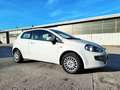 Fiat Punto Evo 3p 1.4 Gpl 77cv *Ok Neopatentati* Wit - thumbnail 15
