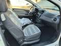 Fiat Punto Evo 3p 1.4 Gpl 77cv *Ok Neopatentati* Wit - thumbnail 12