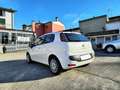 Fiat Punto Evo 3p 1.4 Gpl 77cv *Ok Neopatentati* Wit - thumbnail 6