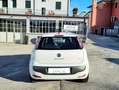 Fiat Punto Evo 3p 1.4 Gpl 77cv *Ok Neopatentati* Wit - thumbnail 5