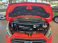 Ford Transit Custom Kasten 320 L1 Trend Rot - thumbnail 7