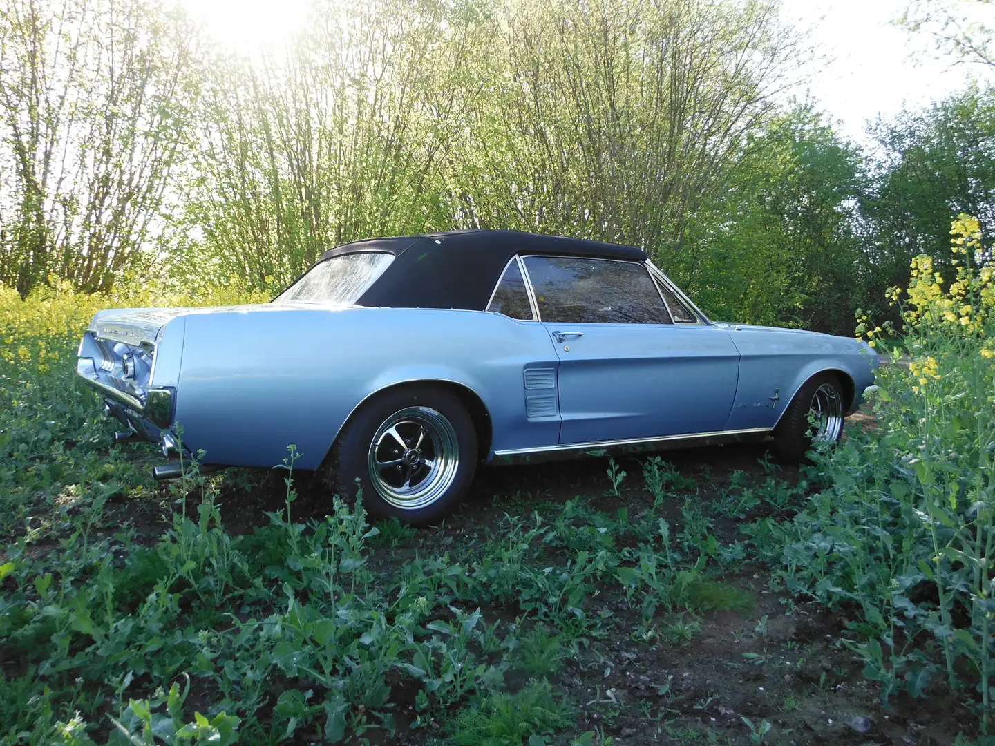 Ford Mustang Blau - 2