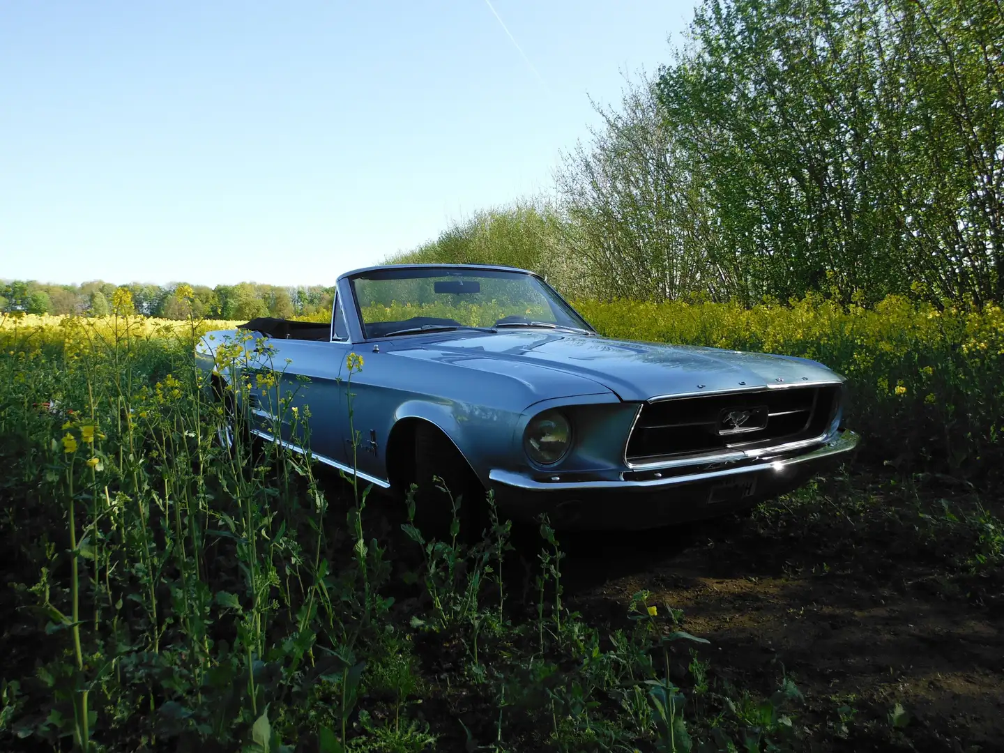 Ford Mustang Blau - 1