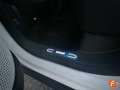 smart #3 25th Anniversary Edition Alb - thumbnail 15