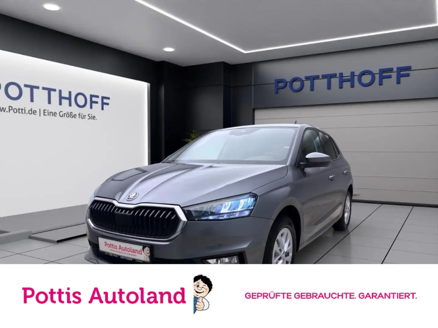 Skoda Fabia 1.0 TSI SELECTION NAV PDC KAM WINTER-P. LICHT&SICH Grau - 1