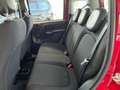 Fiat Panda Pandina 4x2 Hybrid 70 - Euro 14.734,-- bei Finanz. Rot - thumbnail 13