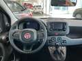 Fiat Panda Pandina 4x2 Hybrid 70 - Euro 14.734,-- bei Finanz. Rot - thumbnail 14