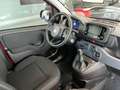 Fiat Panda Pandina 4x2 Hybrid 70 - Euro 14.734,-- bei Finanz. Rot - thumbnail 15