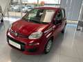 Fiat Panda Pandina 4x2 Hybrid 70 - Euro 14.734,-- bei Finanz. Rot - thumbnail 1