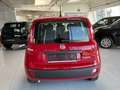 Fiat Panda Pandina 4x2 Hybrid 70 - Euro 14.734,-- bei Finanz. Rot - thumbnail 6