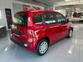 Fiat Panda Pandina 4x2 Hybrid 70 - Euro 14.734,-- bei Finanz. Rot - thumbnail 5