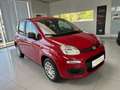 Fiat Panda Pandina 4x2 Hybrid 70 - Euro 14.734,-- bei Finanz. Rot - thumbnail 3