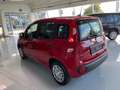 Fiat Panda Pandina 4x2 Hybrid 70 - Euro 14.734,-- bei Finanz. Rot - thumbnail 8