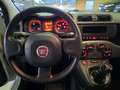 Fiat Panda 1.0 firefly hybrid City Life AUTOCARRO N1 4 POSTI Bianco - thumbnail 6