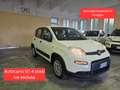 Fiat Panda 1.0 firefly hybrid City Life AUTOCARRO N1 4 POSTI Bianco - thumbnail 1