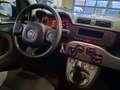 Fiat Panda 1.0 firefly hybrid City Life AUTOCARRO N1 4 POSTI Bianco - thumbnail 12