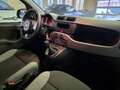 Fiat Panda 1.0 firefly hybrid City Life AUTOCARRO N1 4 POSTI Bianco - thumbnail 11