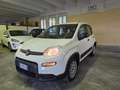 Fiat Panda 1.0 firefly hybrid City Life AUTOCARRO N1 4 POSTI Bianco - thumbnail 4