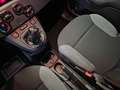 Fiat Panda 1.0 firefly hybrid City Life AUTOCARRO N1 4 POSTI Bianco - thumbnail 8