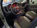 Fiat Panda 1.0 firefly hybrid City Life AUTOCARRO N1 4 POSTI Bianco - thumbnail 5