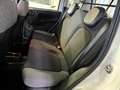 Fiat Panda 1.0 firefly hybrid City Life AUTOCARRO N1 4 POSTI Bianco - thumbnail 9