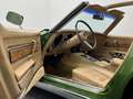 Chevrolet Corvette C3 *Chrome Bumper* Elkhart Green / 1973 One year o Yeşil - thumbnail 7