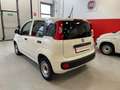 Fiat Panda Van 1.0 70cv Hybrid Euro 6d Blanco - thumbnail 3