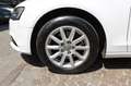 Audi A4 Avant 2.0 TDI 150CV Advanced Bianco - thumbnail 16
