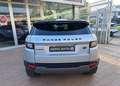 Land Rover Range Rover Evoque 2.0 TD4 150 CV 5p. Auto Business Edition Pure Silber - thumbnail 7
