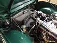 Triumph TR4 null Yeşil - thumbnail 3