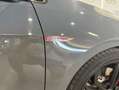 Volkswagen Golf GTI 2.0 TSI TCR DSG7 213kW Gris - thumbnail 21