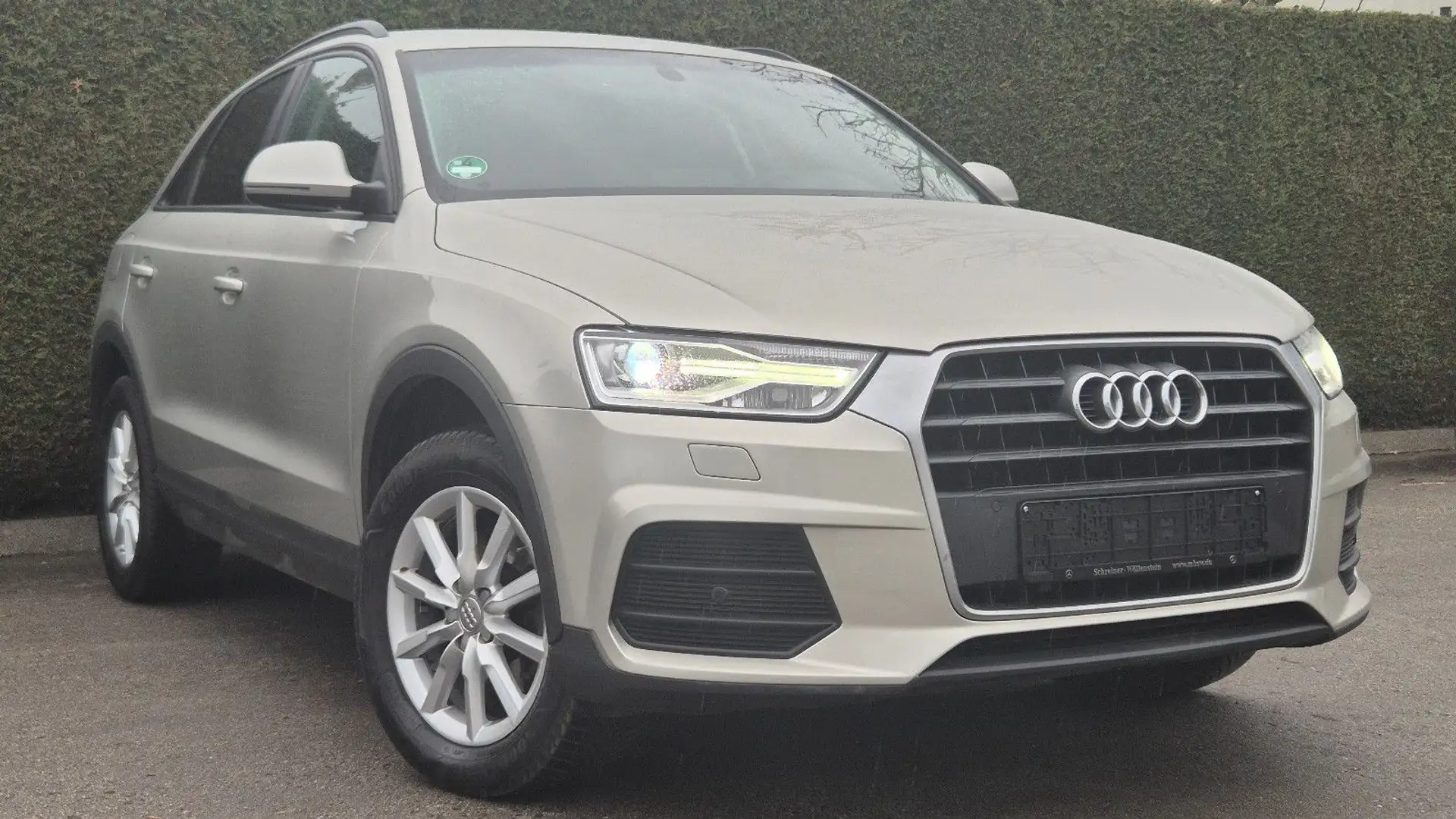 Audi Q3 2.0 TDI quattro/XENON/LEDER/NAVI/SHZ/TEMPO/ Gris - 1