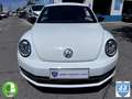 Volkswagen Beetle 2.0 TSI Sport DSG - thumbnail 27