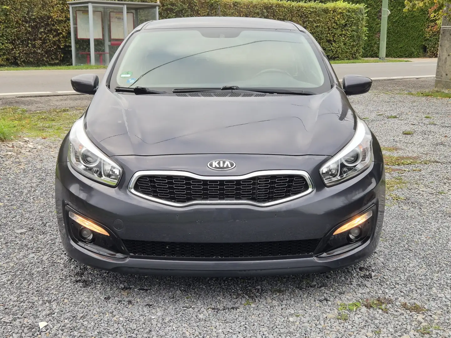 Kia ProCeed / pro_cee'd pro Ceed 1.6 CRDi 136 ISG Vision - 1