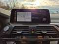 BMW X4 xDrive30i xLine HeadUP, StdHz, AHZV Gris - thumbnail 11