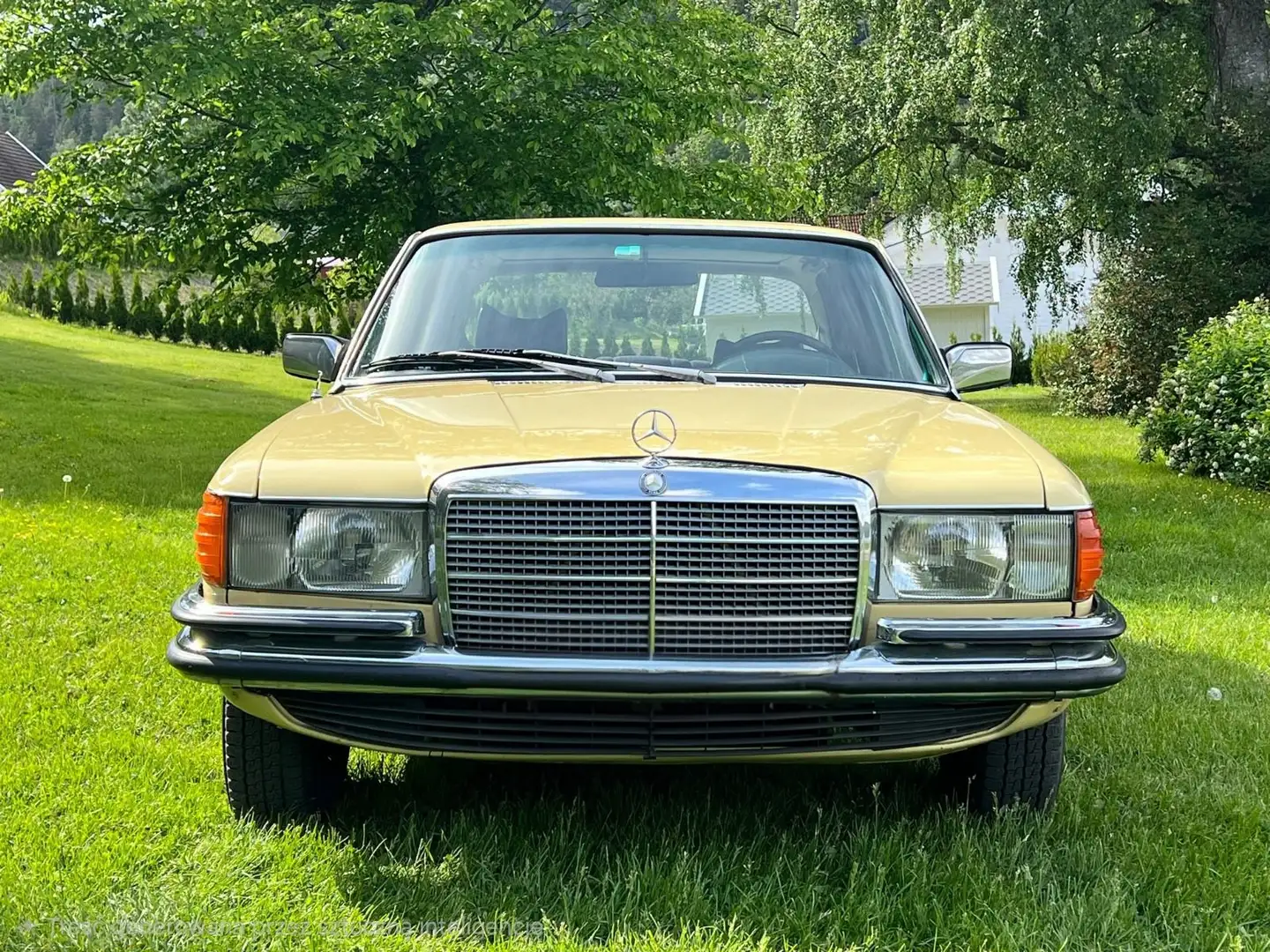 Mercedes-Benz S 280 280s Gelb - 1