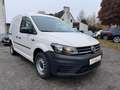 Volkswagen Caddy Nfz Kasten EcoProfi BMT*1.Hand* Bianco - thumbnail 3