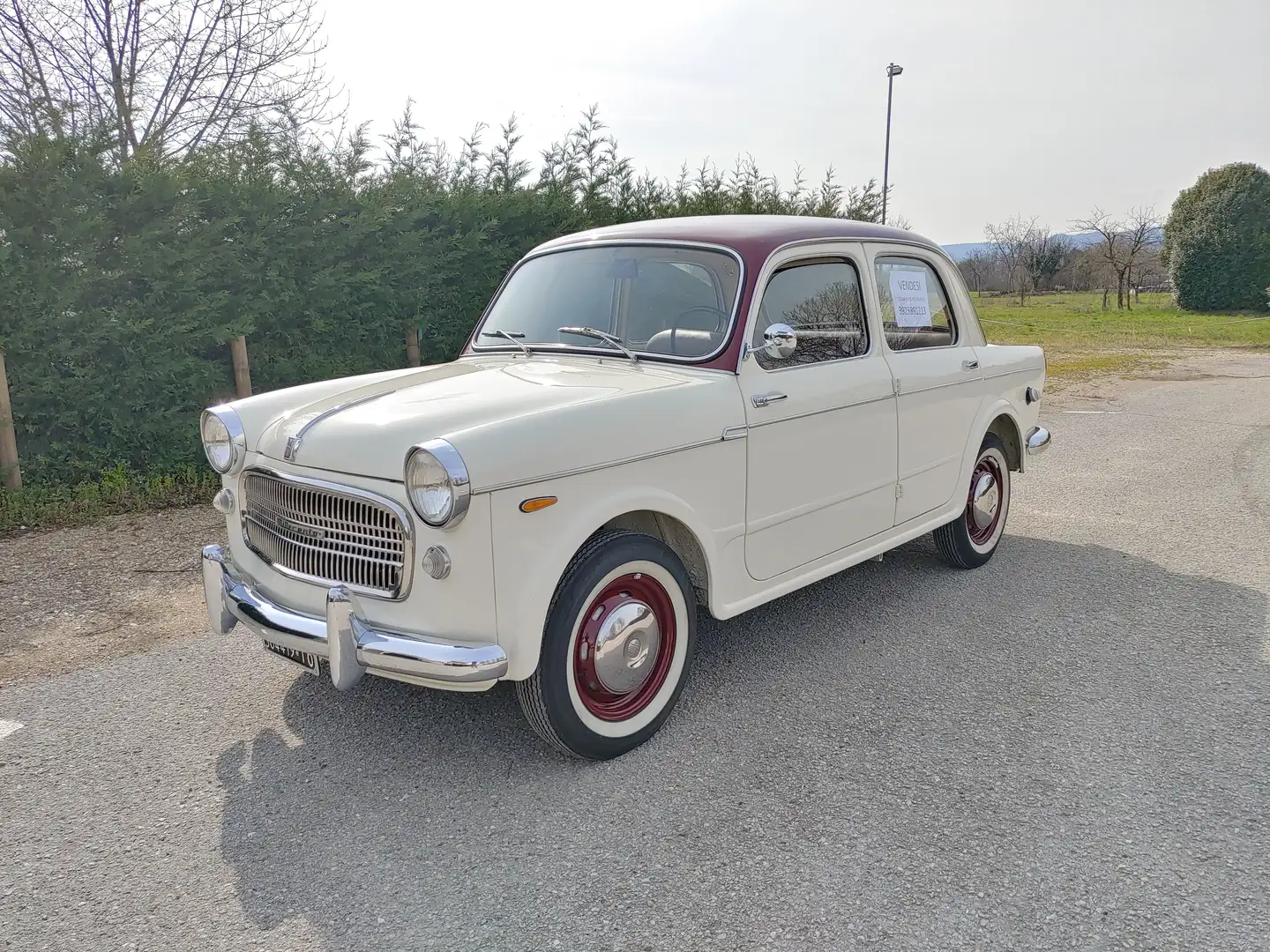 Fiat 1100 bijela - 1