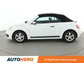 Volkswagen Beetle 2.0 TDI BMT*PDC*SHZ*TEMPO*KLIMA*GARANTIE* Weiß - thumbnail 3
